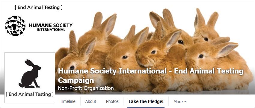 Humane Society International - End Animal Testing Campaign